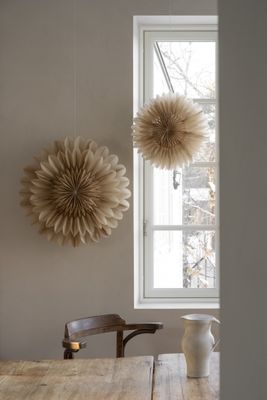 Lotus julstjärnor beige