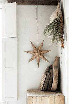Vintergatan julstjärna 44 natur