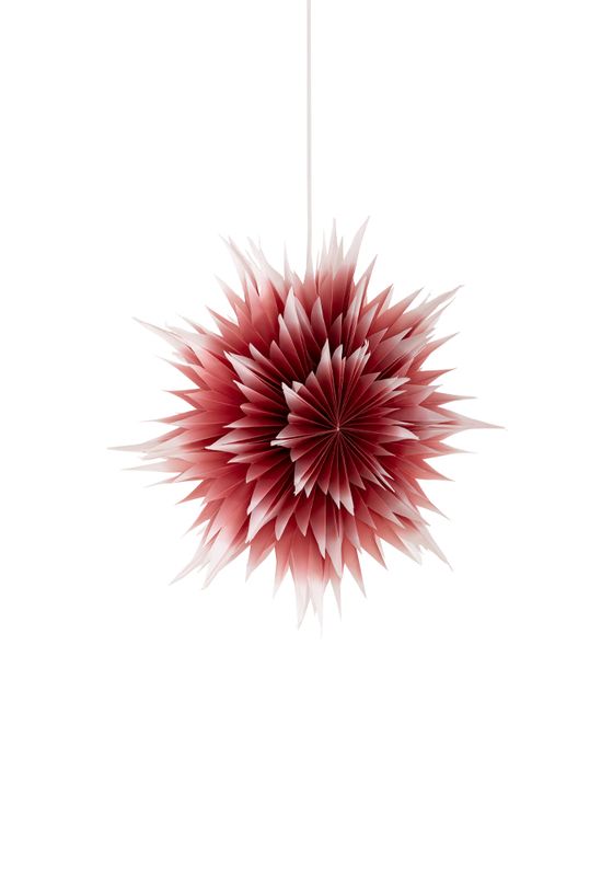 Roxy ombre julstjärnor mörkröd