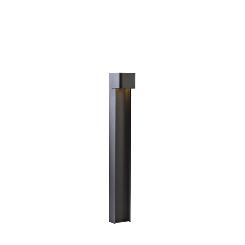 Taurus pollare H98,8