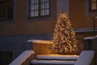 Julgransslinga 270lj LED IP44 amber