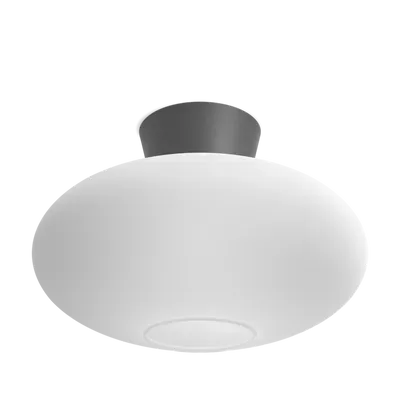 Bullo XL plafonder