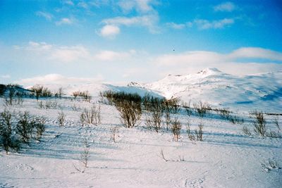 SantaColor 100 135-36
