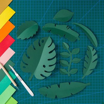 Löv i papper Styling props för produktfoto Mörkgrön