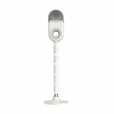 USB Mikrofon Vit