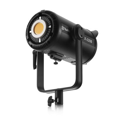 230W Bi-color Professionell Videolampa