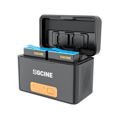 Laddcase för GoPro Hero 9 / 10 PS-G10