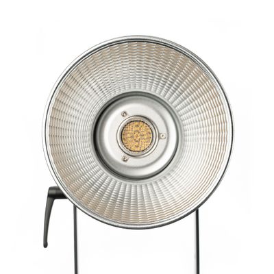 Aputure LS 300x - Bi-Color LED Light
