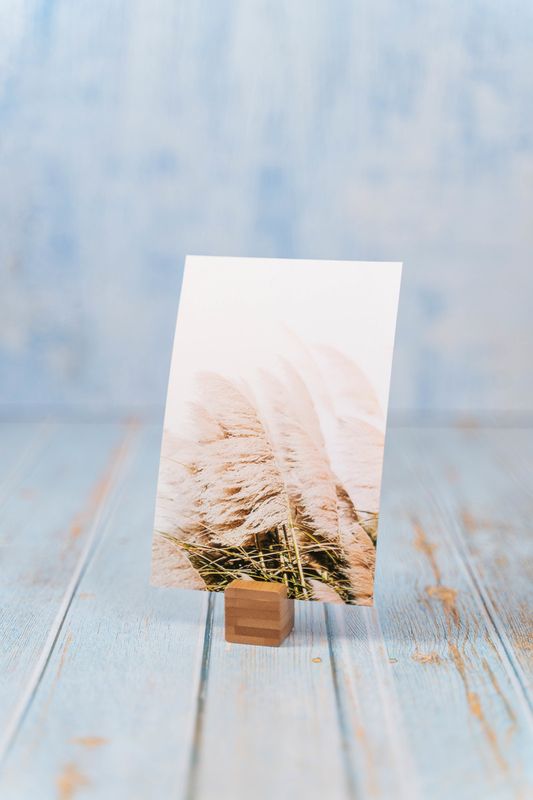 Fotokuber i bambu (12-pack)