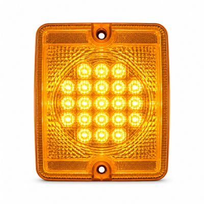 LED Tail Light Indicator Light