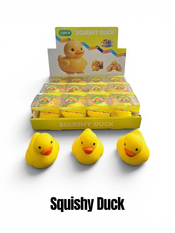 Squishy Duck x 12