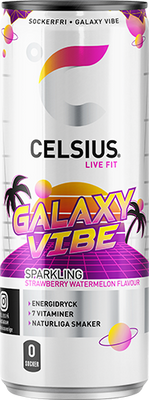24 x CELSIUS Galaxy Vibe 355 ml