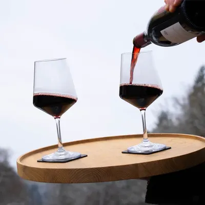 Magnetiska plastglas | WINE CLASSIC sold out !