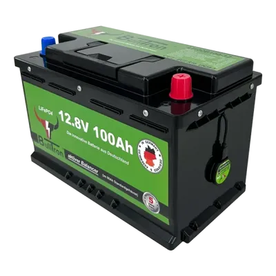 100Ah LiFePO4 12.8V Batteri med Smart BMS