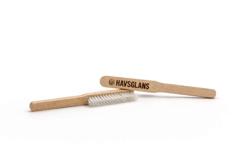 Trissborste Havsglans
