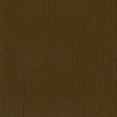 Bazzill Mono Canvas - Pinecone