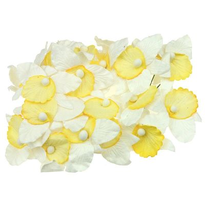 Orchids - white & yellow mulberry