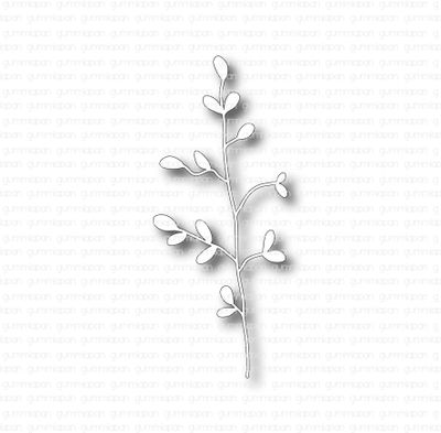 Gummiapan Dies - Gracilis