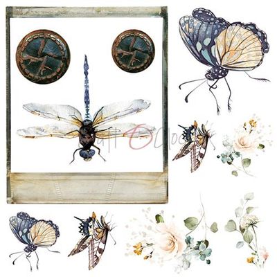 Lost in Time, Mixed Media - Paperpack 6 x 6