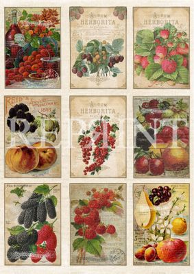 Reprint Hobby Klippark - Vintage Home Collection - Cutouts Fruits