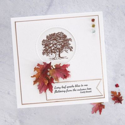 Spellbinders Woodland Garden Leaves Etched Dies