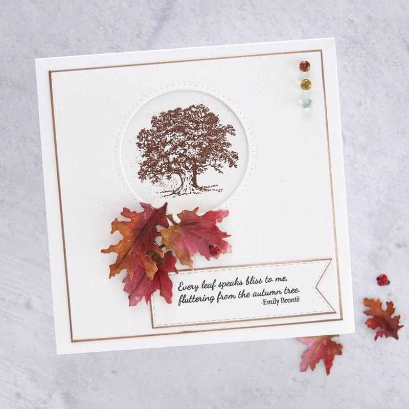 Spellbinders Woodland Garden Leaves Etched Dies