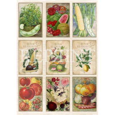 Reprint Hobby Klippark - Vintage Home Collection - Cutouts Veggies