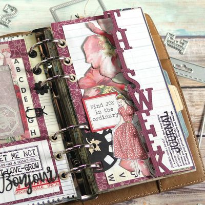 Elizabeth Craft Designs Dies - Sidekick Essentials 11 - This Week Fold Out Page