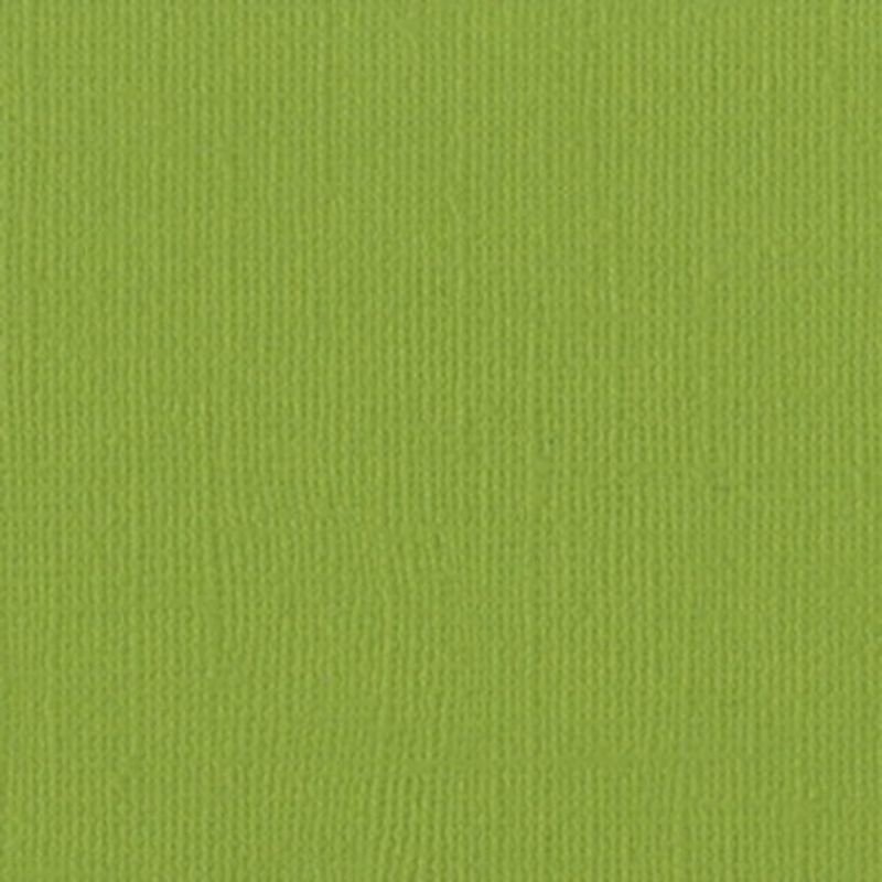 Bazzill Mono Canvas - Lizard