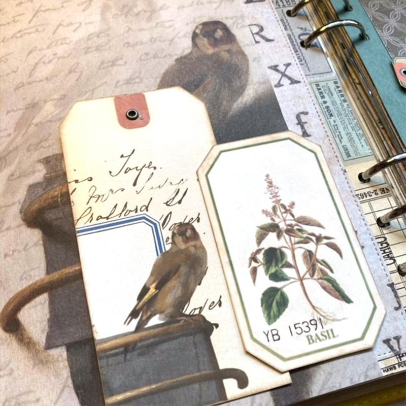 Elizabeth Craft Designs - Reminiscence the Book 2