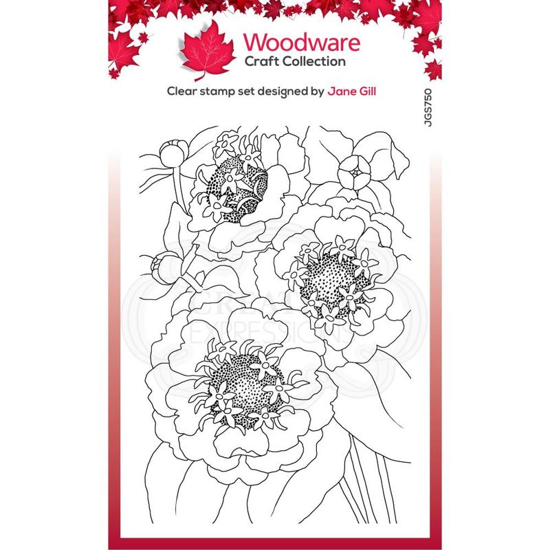 Woodware Clearstamp - Zinnia