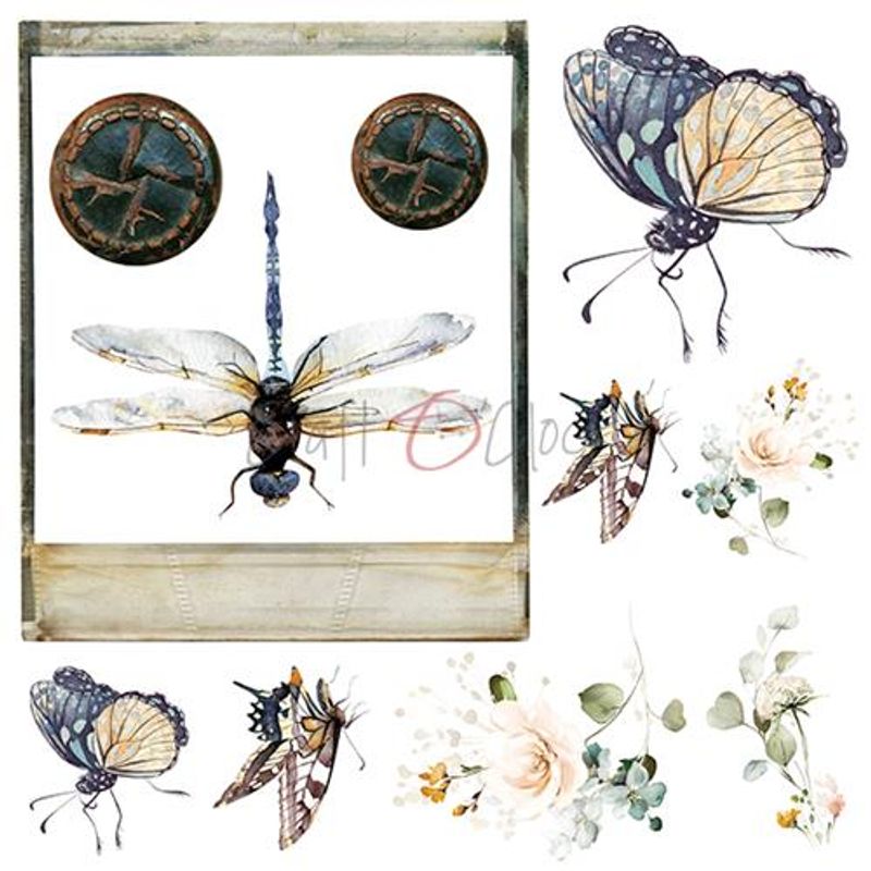 Lost in Time, Mixed Media - Paperpack 6 x 6