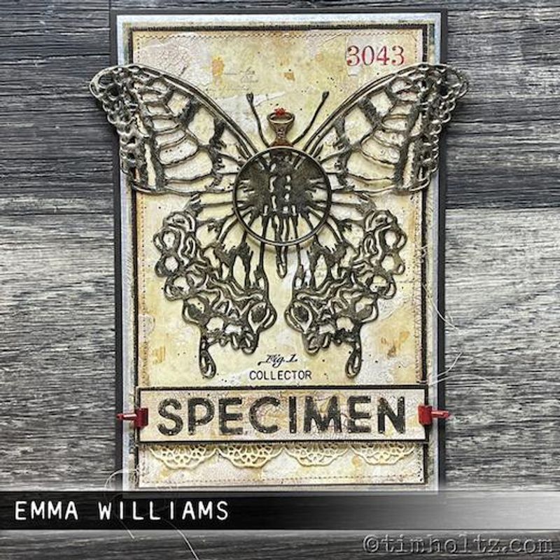 Sizzix/Tim Holtz Thinlits Die ”Perspective Butterfly”