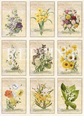 Reprint Hobby Klippark - Easter Vintage Collection - Cutouts Flowers
