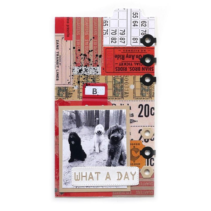 Elizabeth Craft Designs Dies - Sidekick Essentials 5