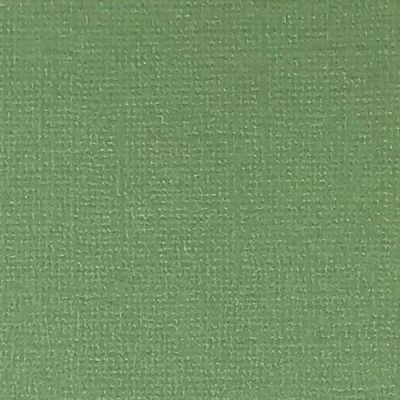 Reprint Cardstock - Pearl Green