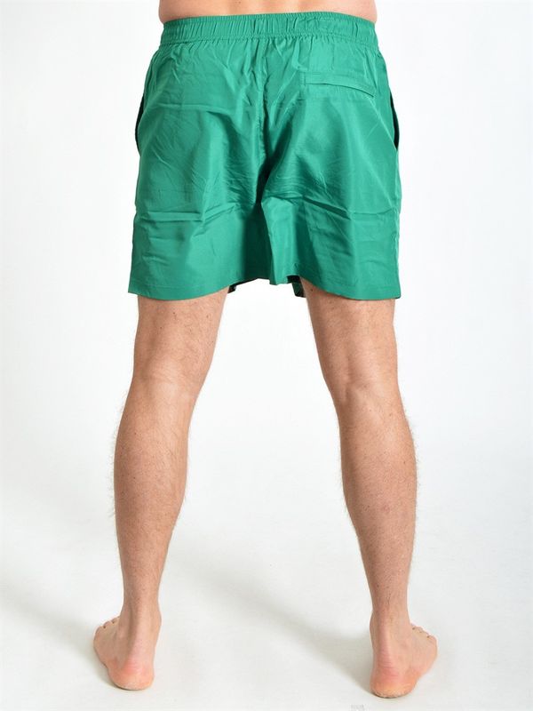 Berg Shorts Verdant Green