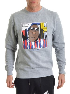 Biggenstein Crewneck Grey