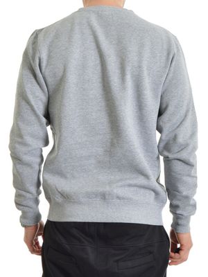 Biggenstein Crewneck Grey