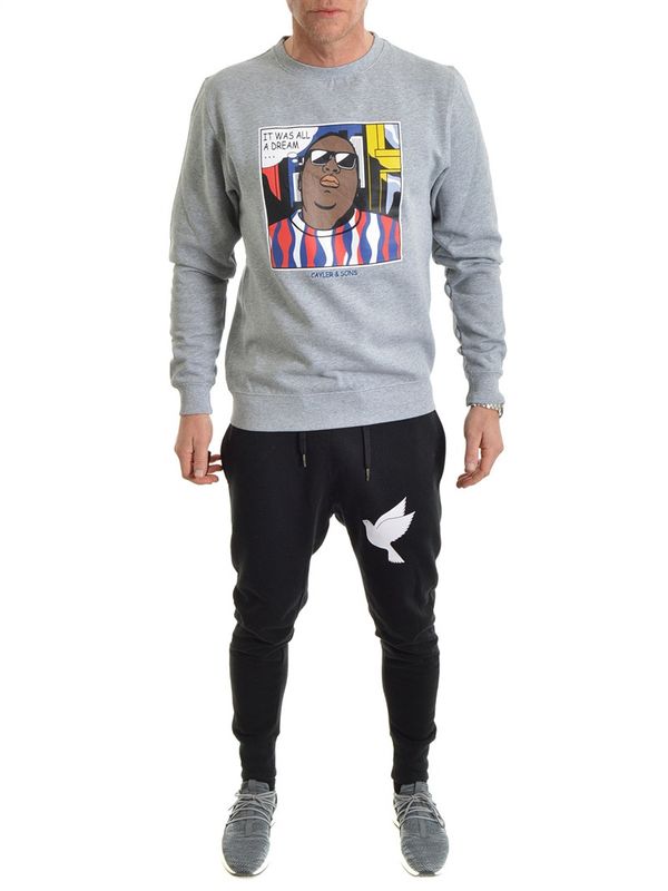 Biggenstein Crewneck Grey