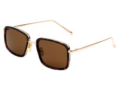 Aldo Demi Tortoise