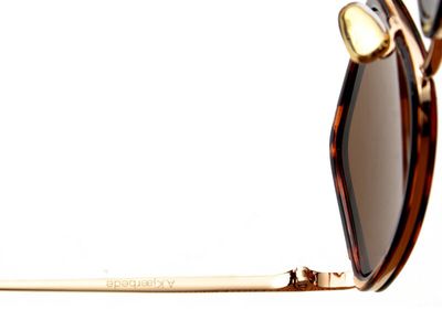 Aldo Demi Tortoise