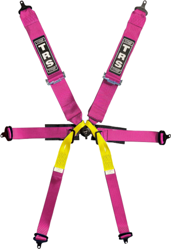 New Pro Single Seater 6-punktsbälte FHR