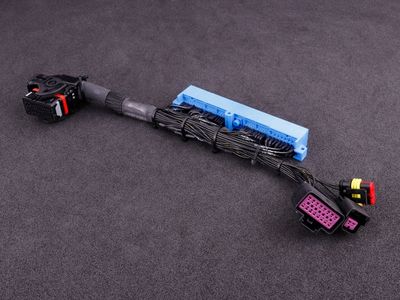 MaxxECU Adapterhärva Nissan Skyline R32/R33 GT-R/GTS