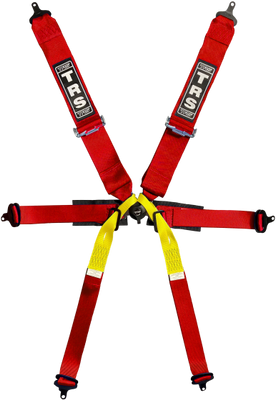 New Pro Single Seater 6-punktsbälte FHR