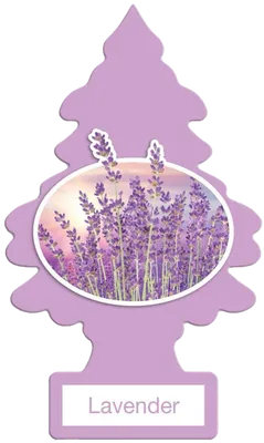 Air Freshener Coconut & Lavender