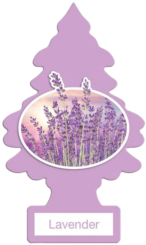 Air Freshener Coconut & Lavender
