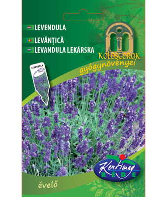 Lavendel