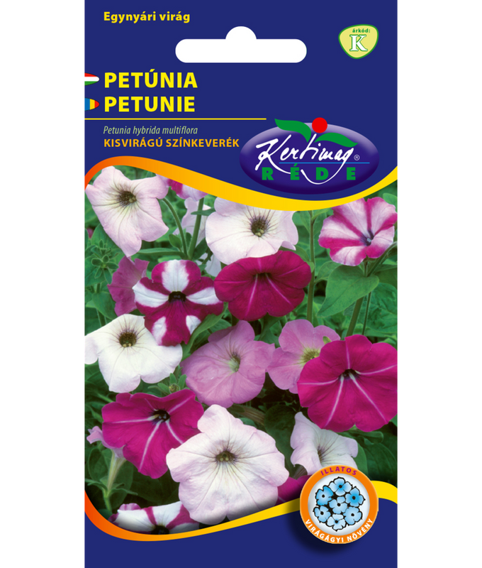 Petunia småblommig färgmix