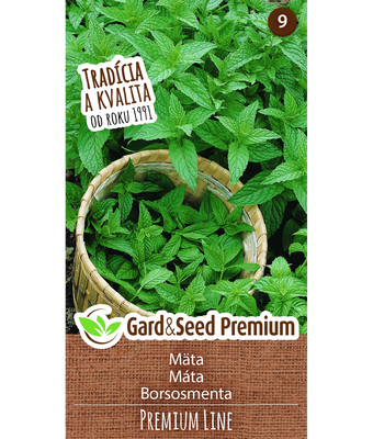 Grönmynta Mojito Mynta